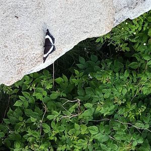 Meet your Posher, Becky